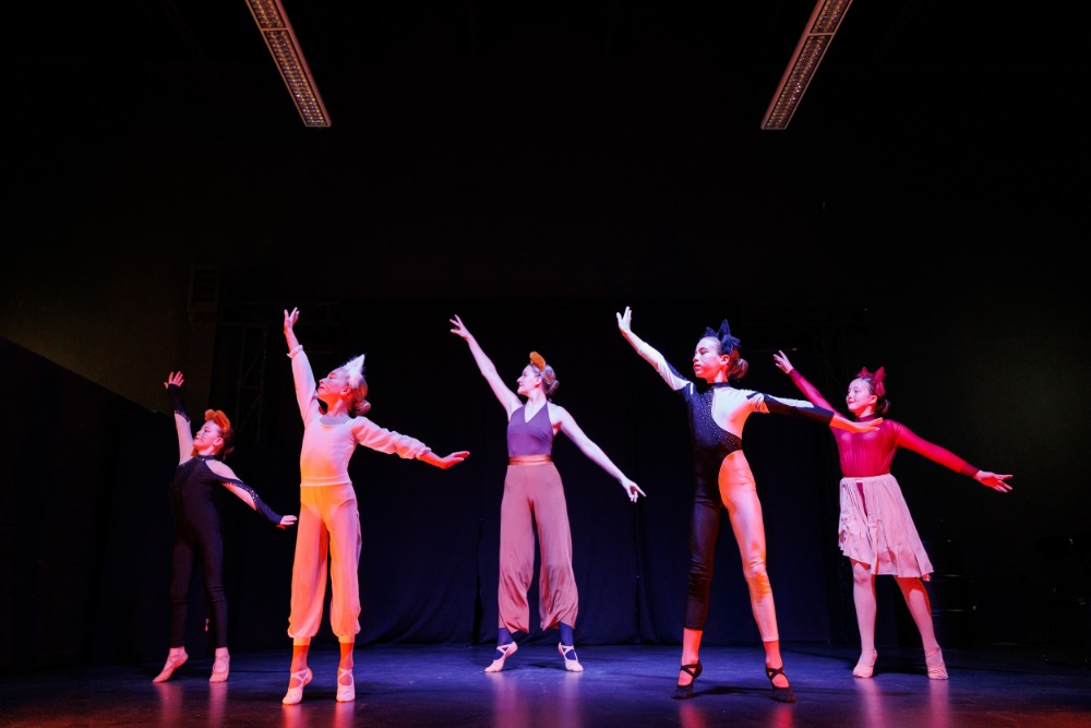 Taneční vystoupení v rámci projektu Umění v pohybu – projekt podpořen městem Hradec Králové.